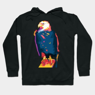 Eagle Colorful Hoodie